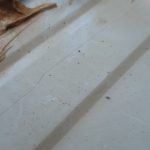 No fixing, relying on sealant only