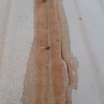 Sealant shortage