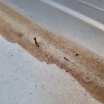 Caravan Water Proofing WA